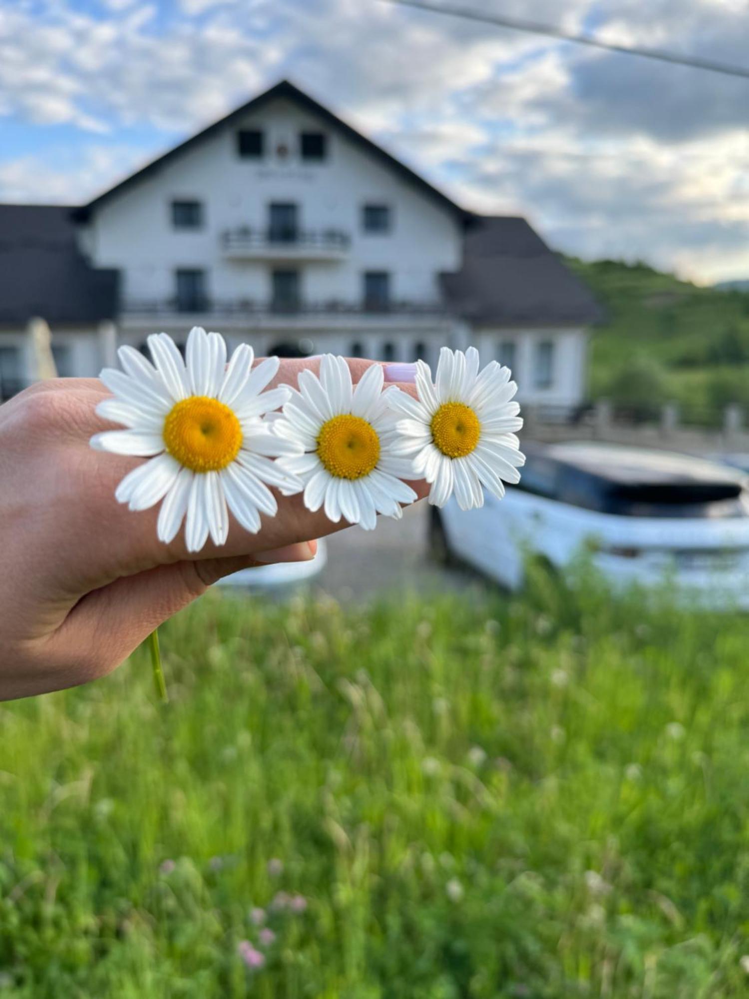 Evenimente Edelweiss Hotel Izakonyha Kültér fotó