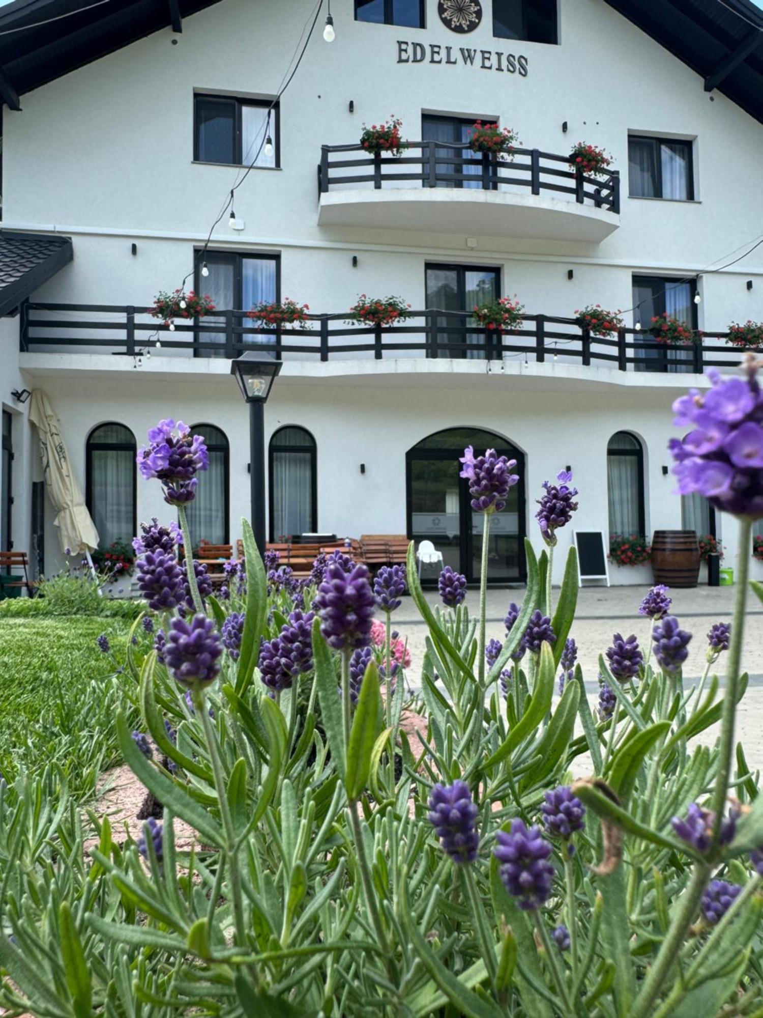 Evenimente Edelweiss Hotel Izakonyha Kültér fotó