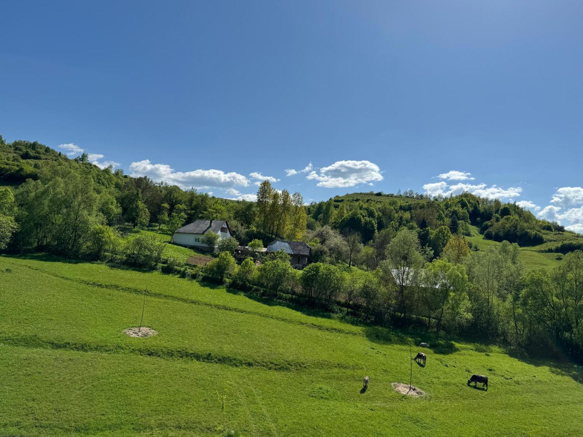 Evenimente Edelweiss Hotel Izakonyha Kültér fotó